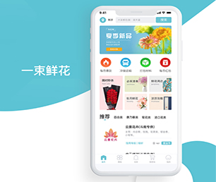 益阳IOS APP定制开发团购电商系统高效、稳定、安全的软件解决方案【惊喜优惠，享受最低价】